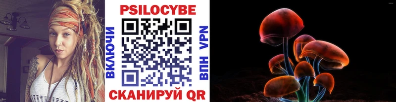 Галлюциногенные грибы Cubensis  где купить   Калязин 